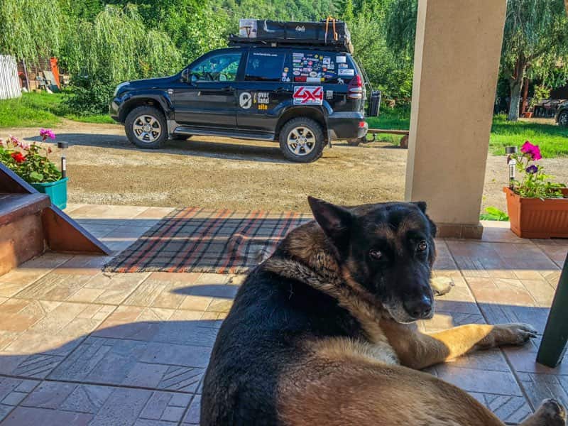Lupu & the Toyota Dog overlanding