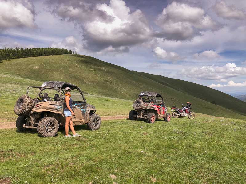 buggy buggy review