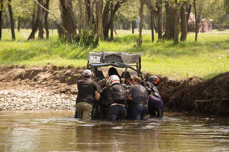 pushing out buggy buggy rescued
