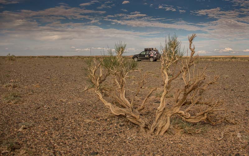 remote road in mongolia prado alone in mongolia