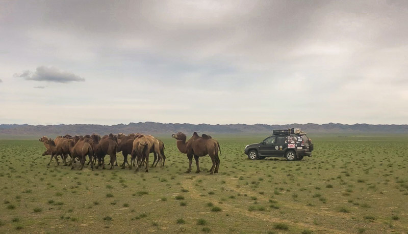 overlandsite overlanding overlanding stories with overlandsite