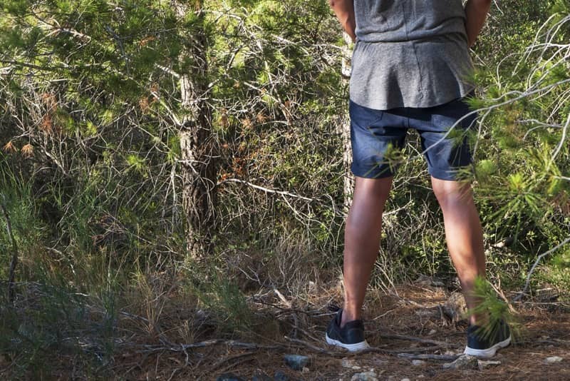 how to pee outdoors how to pee while camping