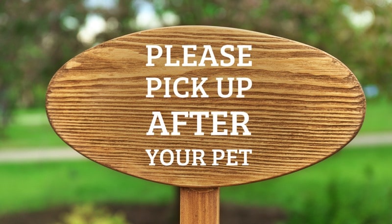 how to poop outdoors with pets how to shit outdoors