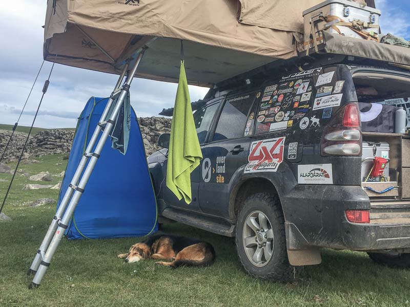 road tripping with pets dog in mongolia overlanding