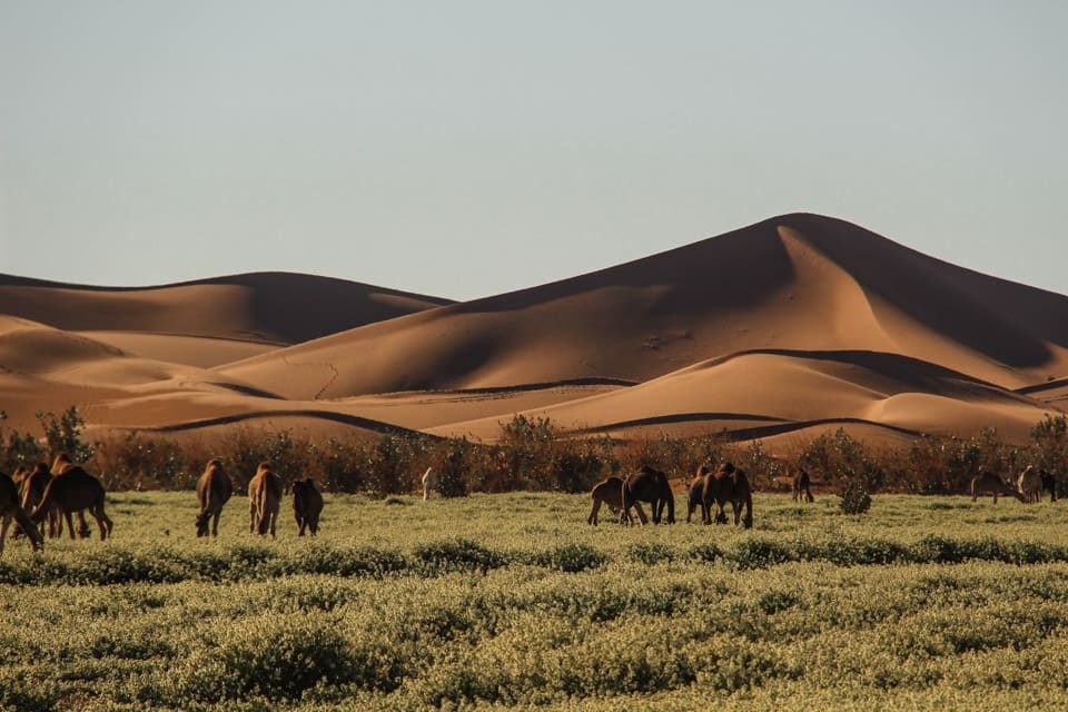 morocco 4x4 tour