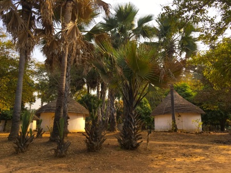 Campement de Wassadou in Senegal