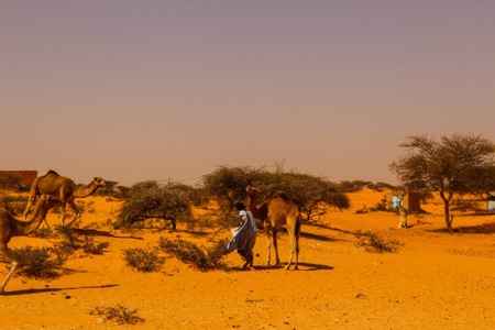 Desert Life - Overlanding in Africa
