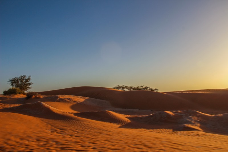 travelling through the sahara desert