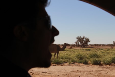 eating a Camel while overlanding